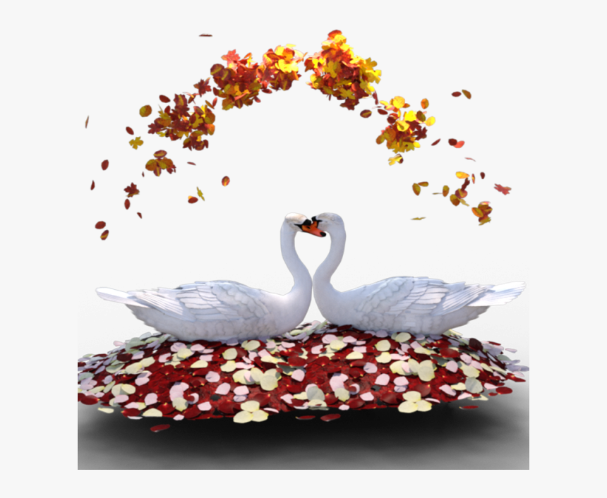 Transparent Swan Clipart - Imagenes De Cisnes De Amor, HD Png Download, Free Download