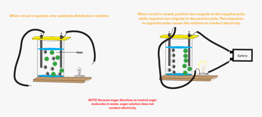 Positive Ions Move To Negative Pole While Negative - Salt Solution Conduct Electricity, HD Png Download, Free Download