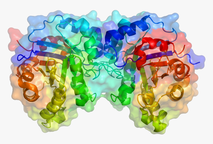 Glucose Biosensor, HD Png Download, Free Download