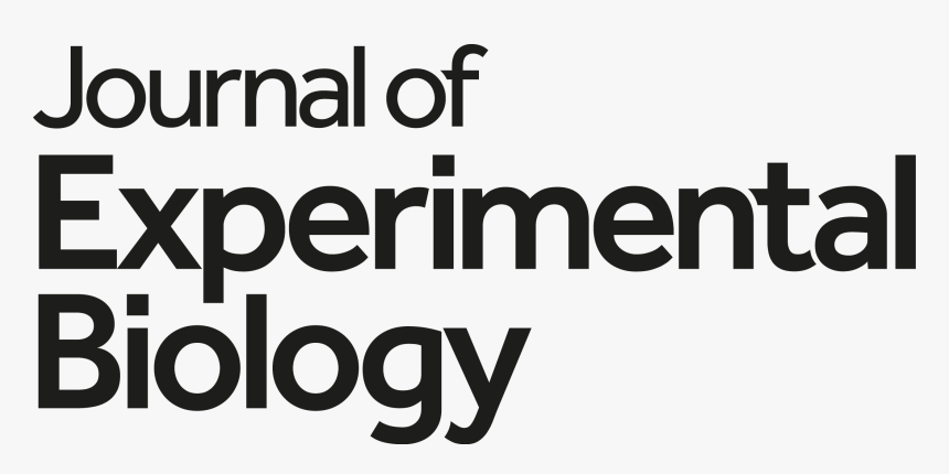 Jouornal Of Experimental Biology Logo - Oval, HD Png Download, Free Download