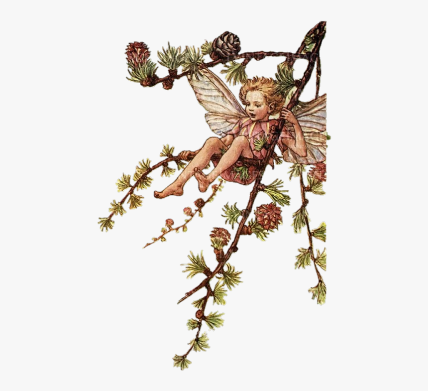 Flower Fairies Of The Spring Book, HD Png Download, Free Download