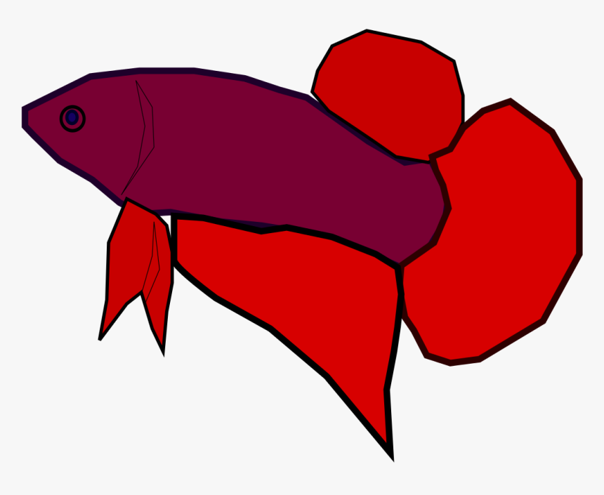 File - Betta Splendens - Svg - Siamese Fighting Fish, HD Png Download, Free Download