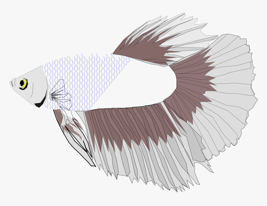 Betta Fish Icon Png, Transparent Png, Free Download