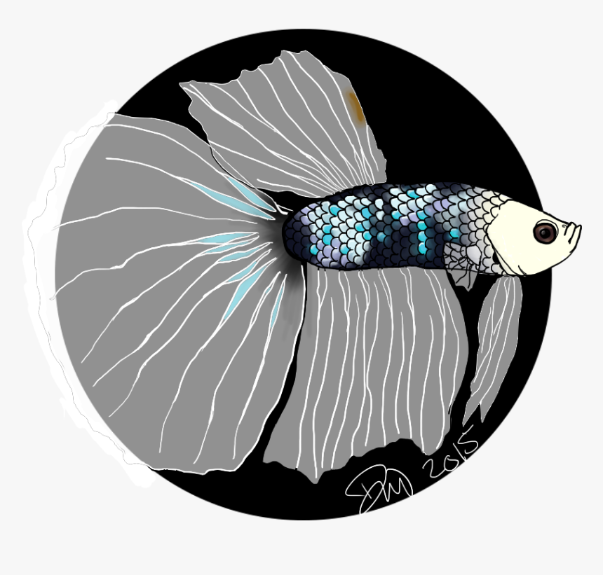 Fenris The Betta - Illustration, HD Png Download, Free Download