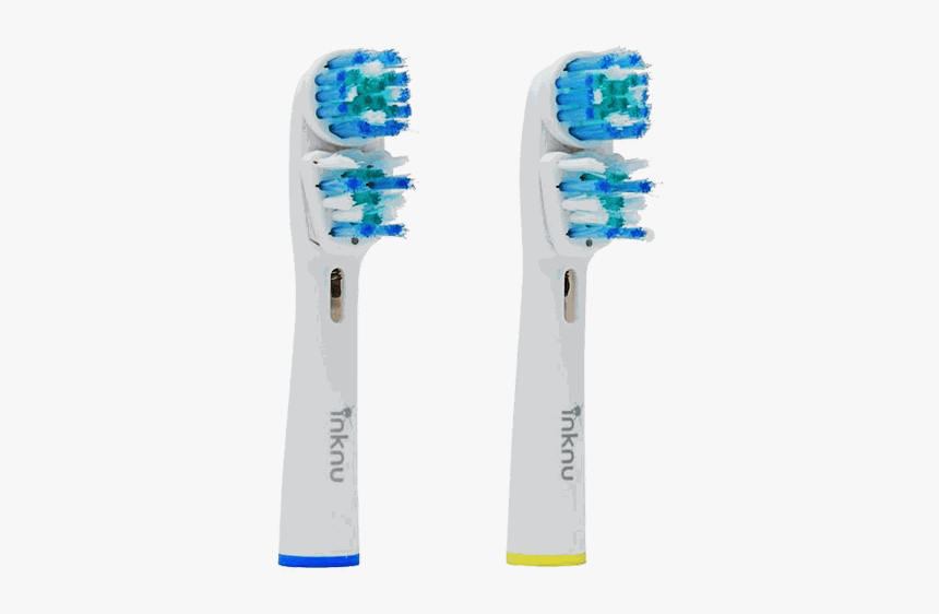 Toothbrush Heads Preview - Toothbrush, HD Png Download, Free Download