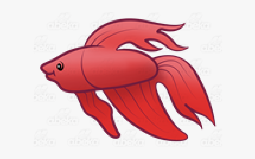 Red Betta Fish Clipart, HD Png Download, Free Download