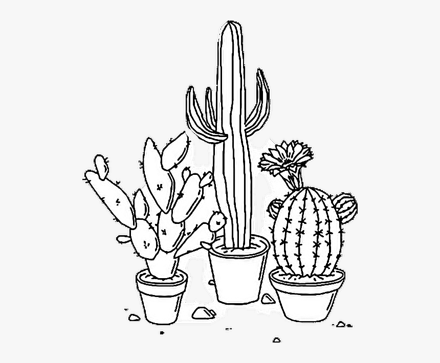Aesthetic Coloring Pages Vsco - Coloring and Drawing