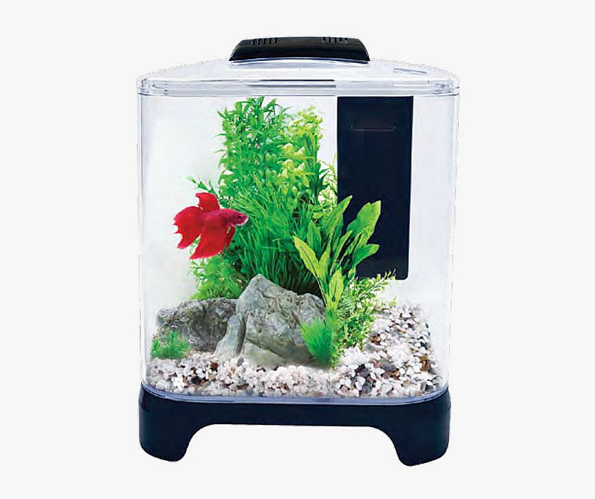 Betta Tank Aqua One, HD Png Download, Free Download