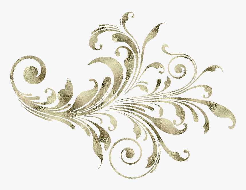 Zoom Diseño Y Fotografia - Vector Flower, HD Png Download, Free Download