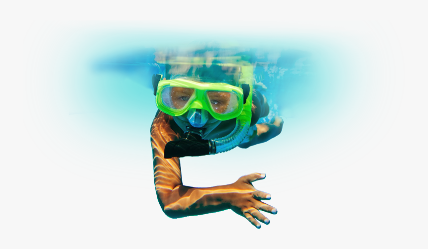 Snorkeling With Belize Pro Dive Center - Snorkelling Underwater Png Transparent, Png Download, Free Download
