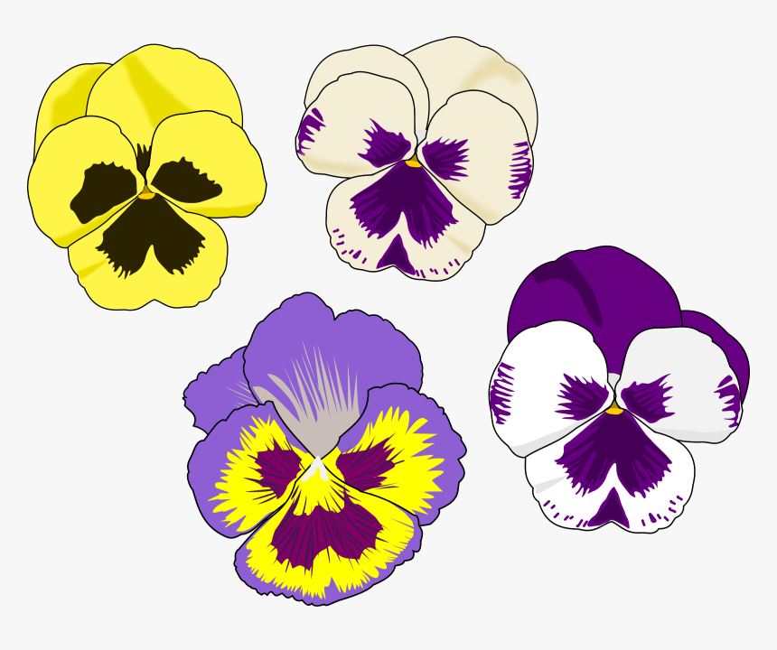 Transparent Alice In Wonderland Clipart - Pansy Flower Clip Art, HD Png Download, Free Download