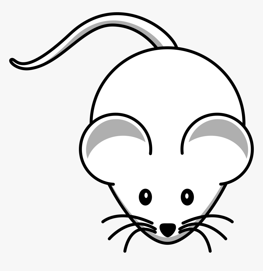 Collection Of Free Mouse Vector Laboratory - Mouse Drawing, HD Png Download, Free Download