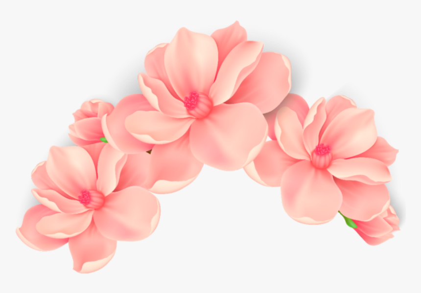 #flowers #flores #blossom #spring #primavera #pink - Pink Flowers Vector Png, Transparent Png, Free Download