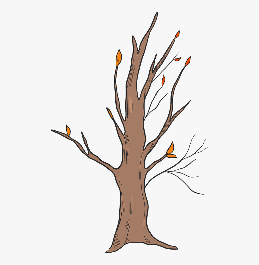 Fall Tree Clipart, HD Png Download, Free Download