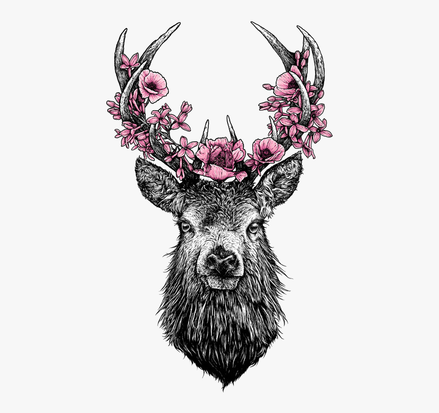 Deer Png, Transparent Png, Free Download