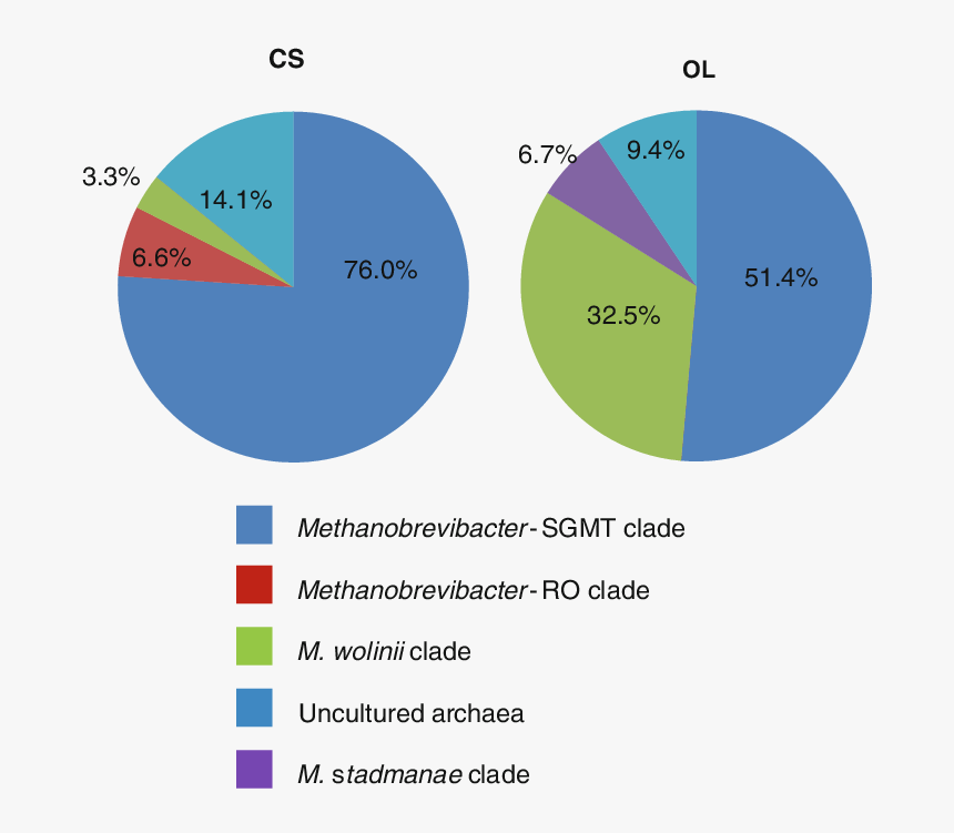 Deer Diet Pie Chart, HD Png Download, Free Download