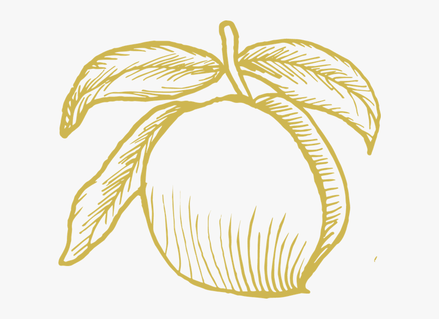 Png Royalty Free Stock Peaches Drawing Ink, Transparent Png, Free Download