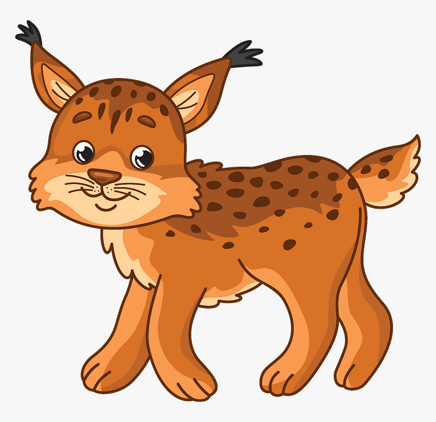 Bobcat Clipart - Cartoon, HD Png Download, Free Download