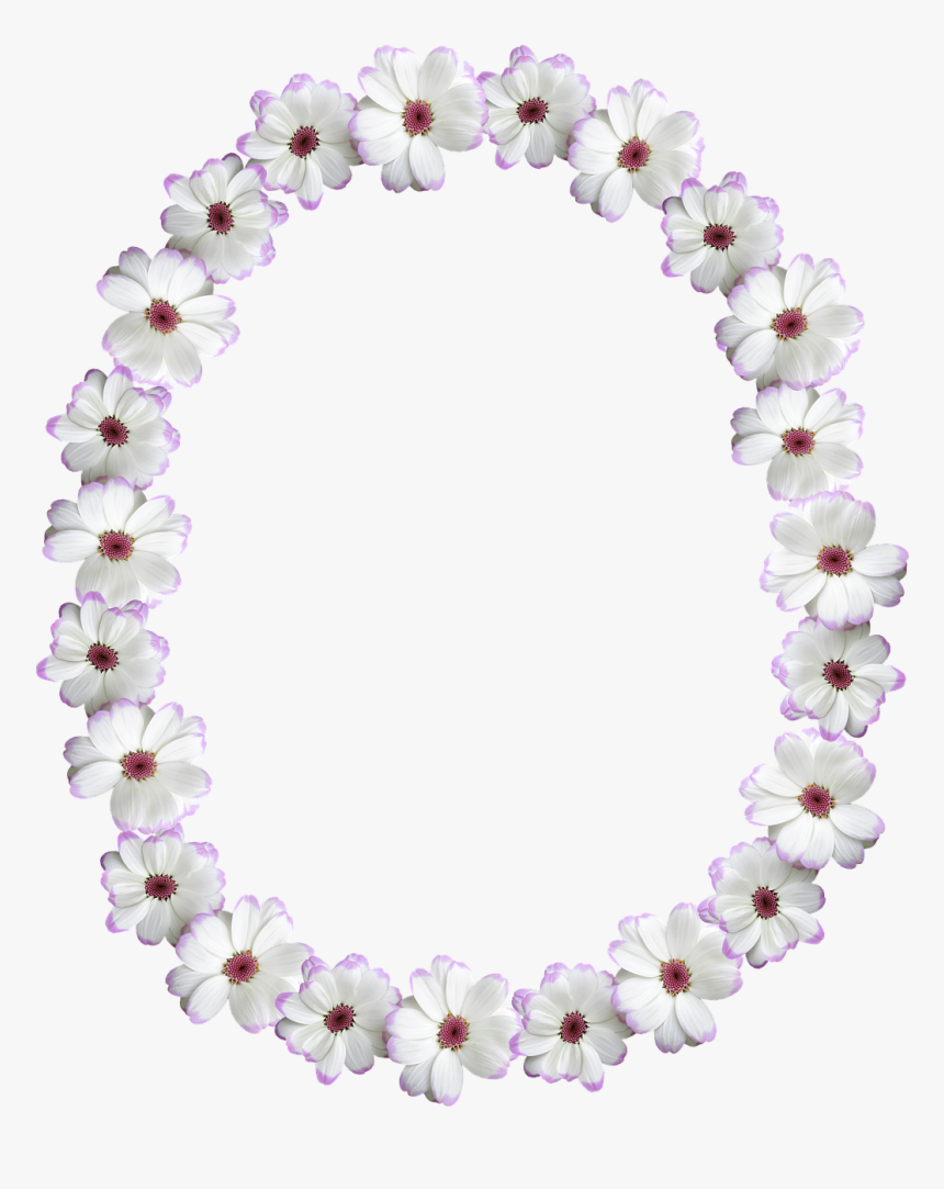 Oval White Frame Png, Transparent Png, Free Download