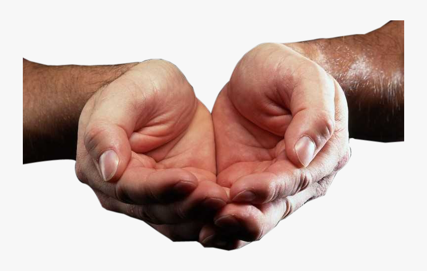Transparent Cupped Hands Png - Hands In A Cup, Png Download, Free Download