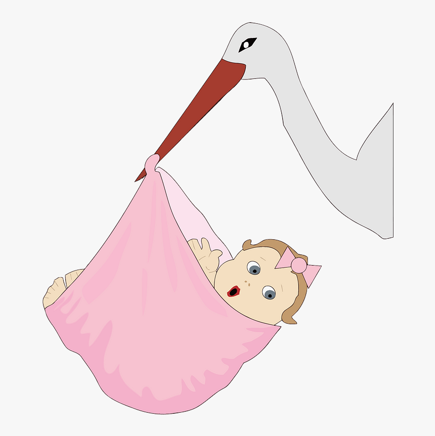 Stork With A Baby Girl Clipart, HD Png Download, Free Download