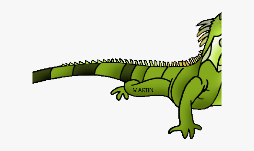 Featured image of post Iguana Clipart Transparent Over 3 509 iguana pictures to choose from with no signup needed