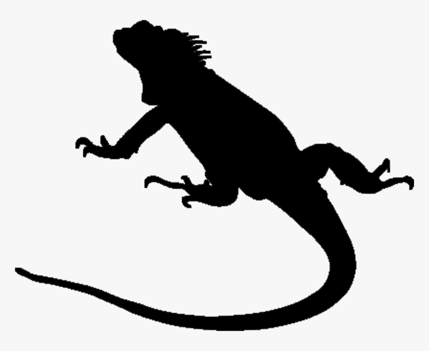 Silhouette At Getdrawings Com - Iguana Silhouette Clipart, HD Png Download, Free Download