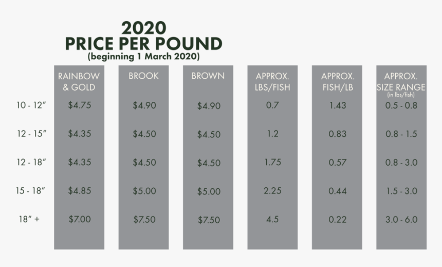 2020 Pricing For Web - Statistical Graphics, HD Png Download, Free Download