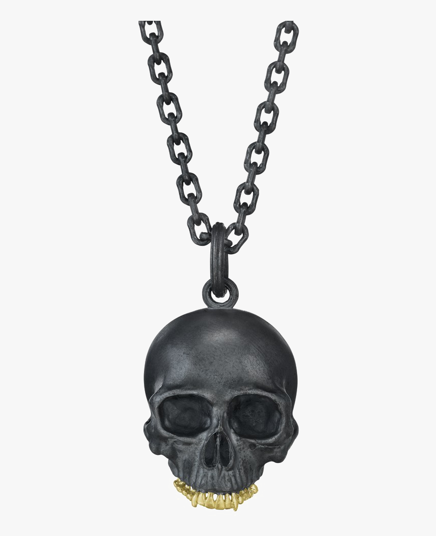 Transparent Skeleton Transparent Png - Chain And Locket Png, Png Download, Free Download