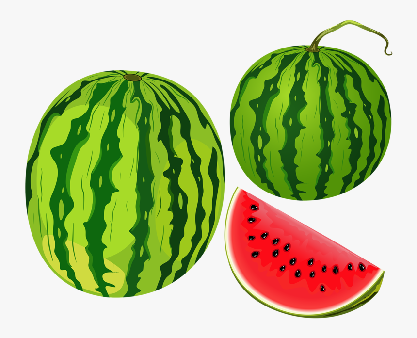 Cantaloupe Clipart Telugu - Watermelon Clipart, HD Png Download, Free Download