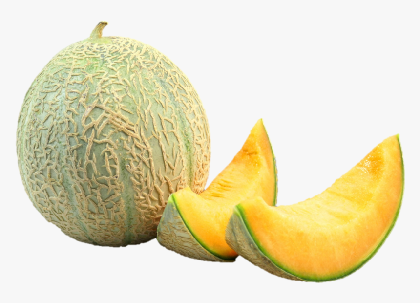 Cantalope - Cantaloupe, HD Png Download, Free Download