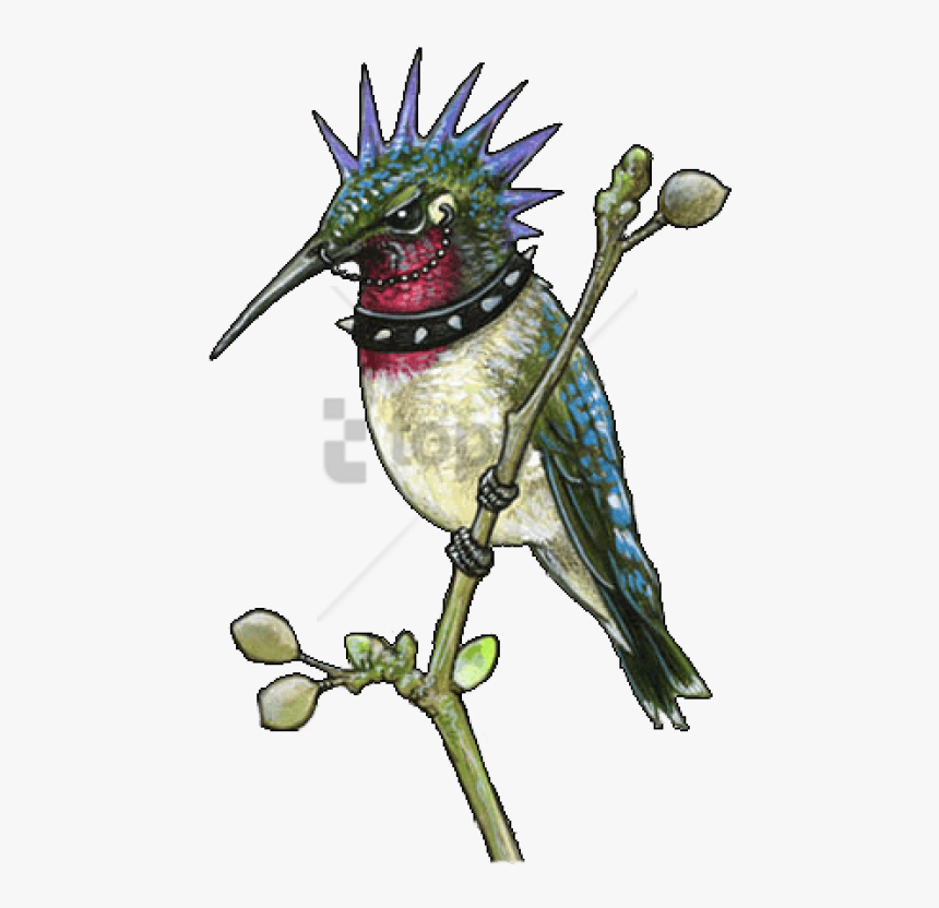 Free Png Sleeve Tattoo Png Image With Transparent Background - Punk Hummingbird, Png Download, Free Download