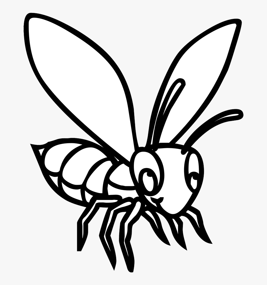 Black White Drawing Bee - Membrane-winged Insect, HD Png Download, Free Download