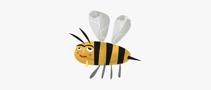 Cartoon Honey Bee Clipart - Honeybee, HD Png Download, Free Download