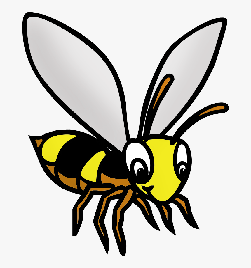 Bee Drawing In Color - Cartoon, HD Png Download, Free Download