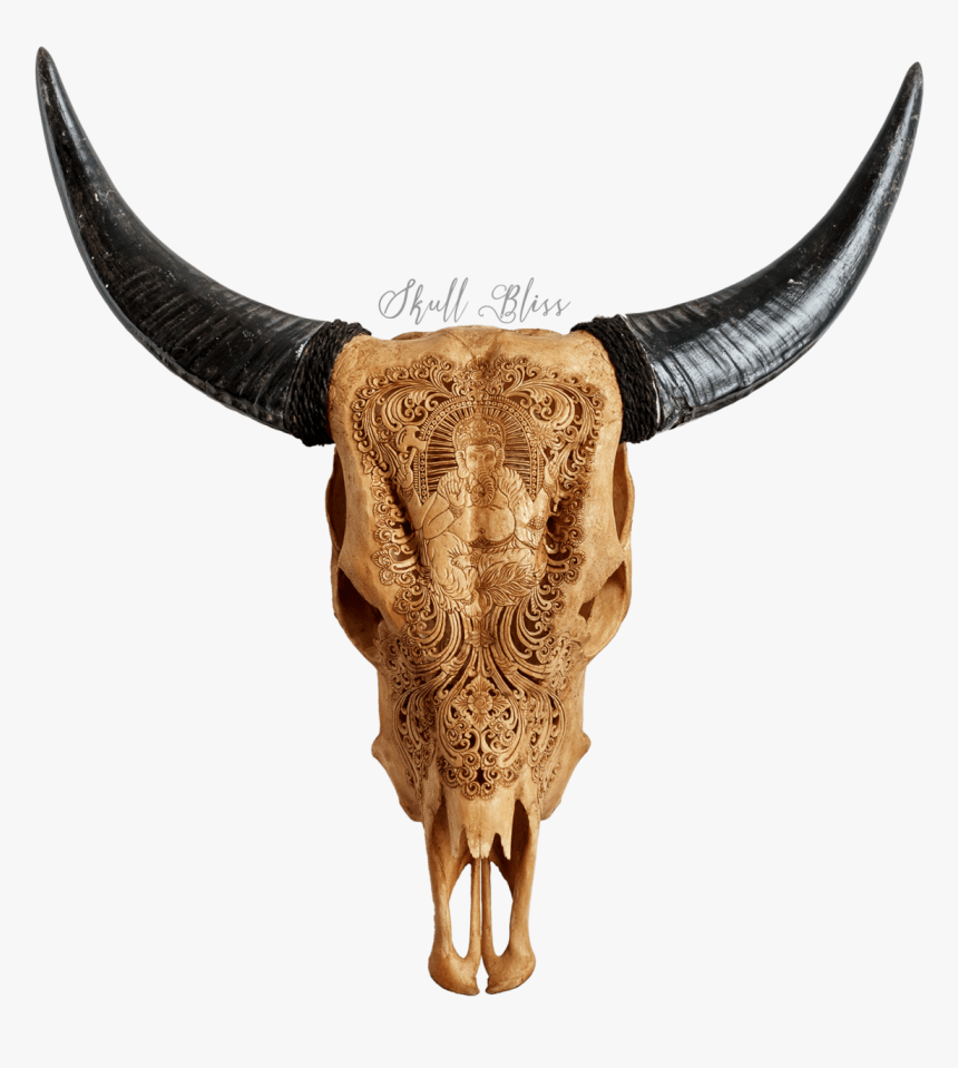 Bull, HD Png Download, Free Download