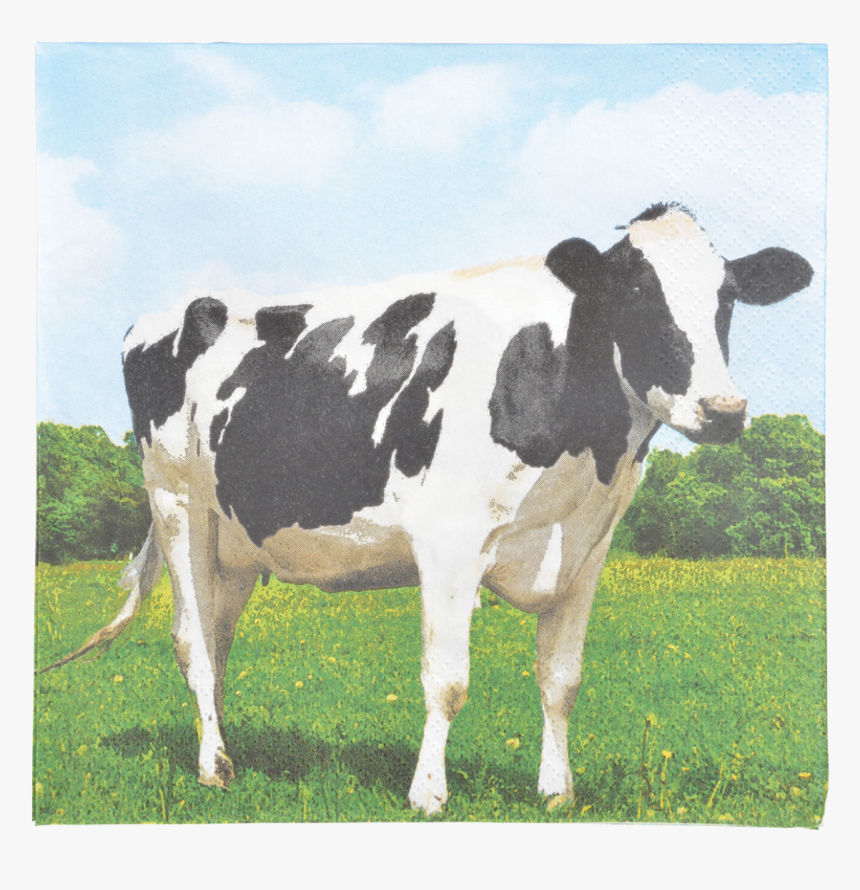 Paper Napkins Cow 33x33cm - Wellion Vet Belua Glucose Teststreifen, HD Png Download, Free Download