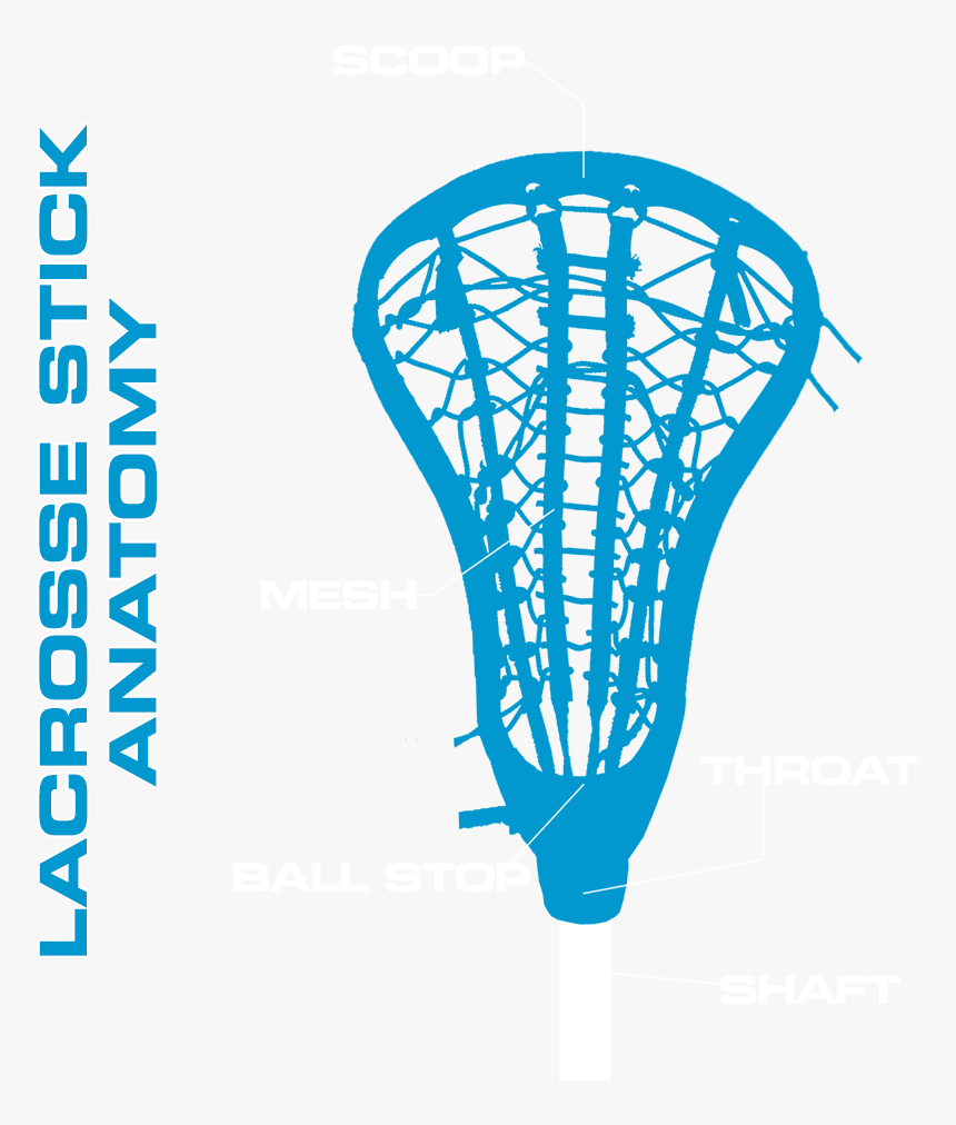 Parts Of A Lacrosse Stick, HD Png Download, Free Download