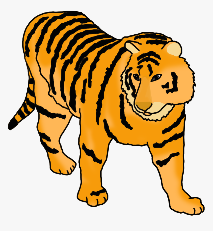 Tiger With Stripes Colored - Bengal Tiger, HD Png Download, Free Download