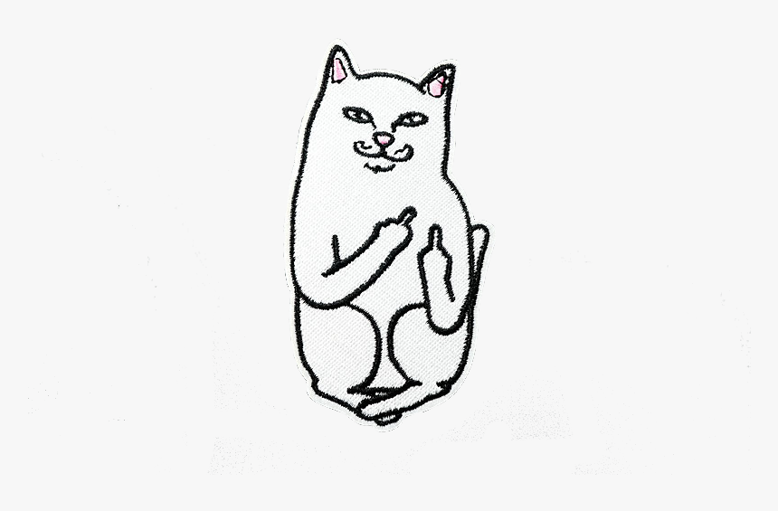 Transparent White Cat Png - Cat Flipping Middle Finger, Png Download, Free Download