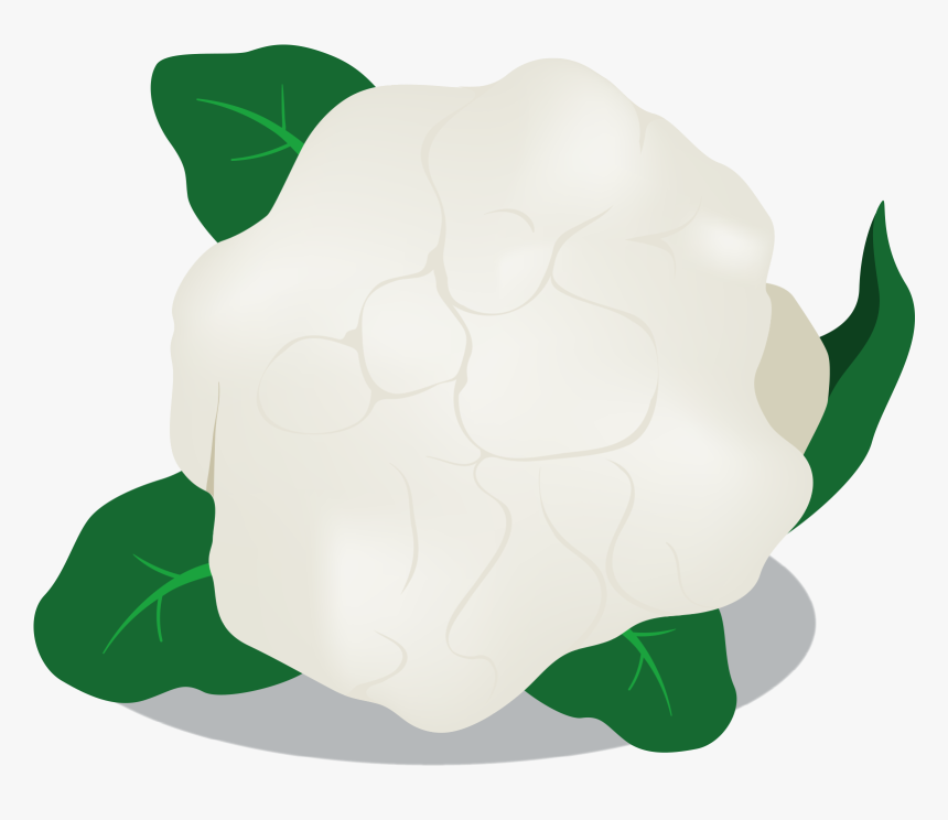 Cauliflower Transparent Image - Tortoise, HD Png Download, Free Download