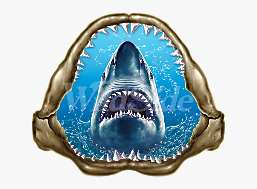 Great White Shark, HD Png Download, Free Download