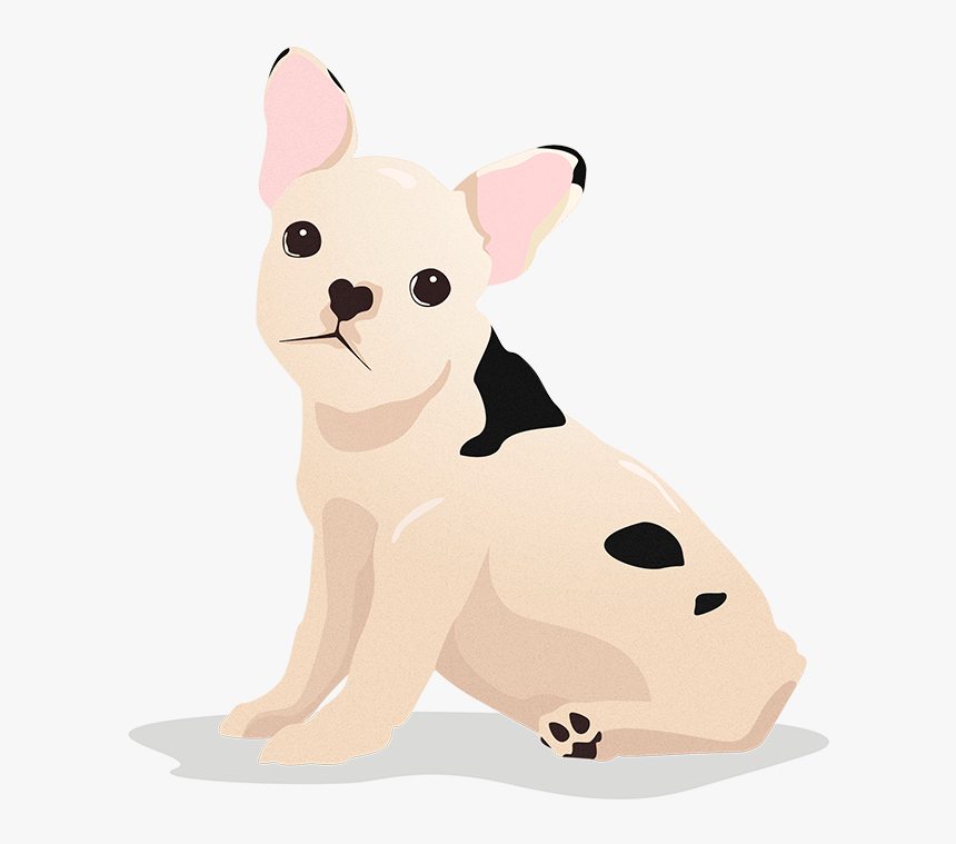 Siamese, HD Png Download, Free Download