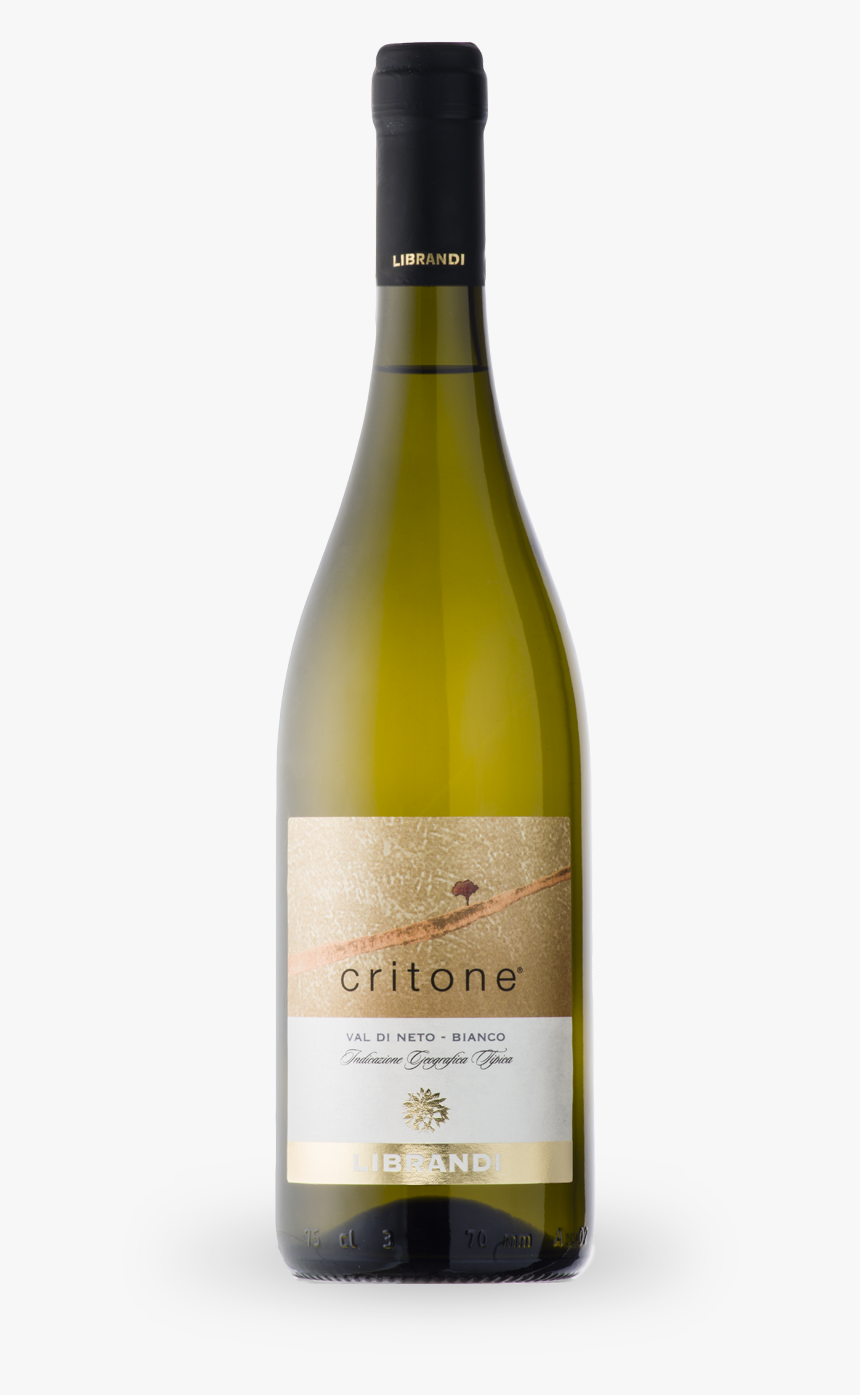 This Wine Is Named After Crito, Socrates - Chateau Ste Michelle Cold Creek Vineyard Chardonnay, HD Png Download, Free Download