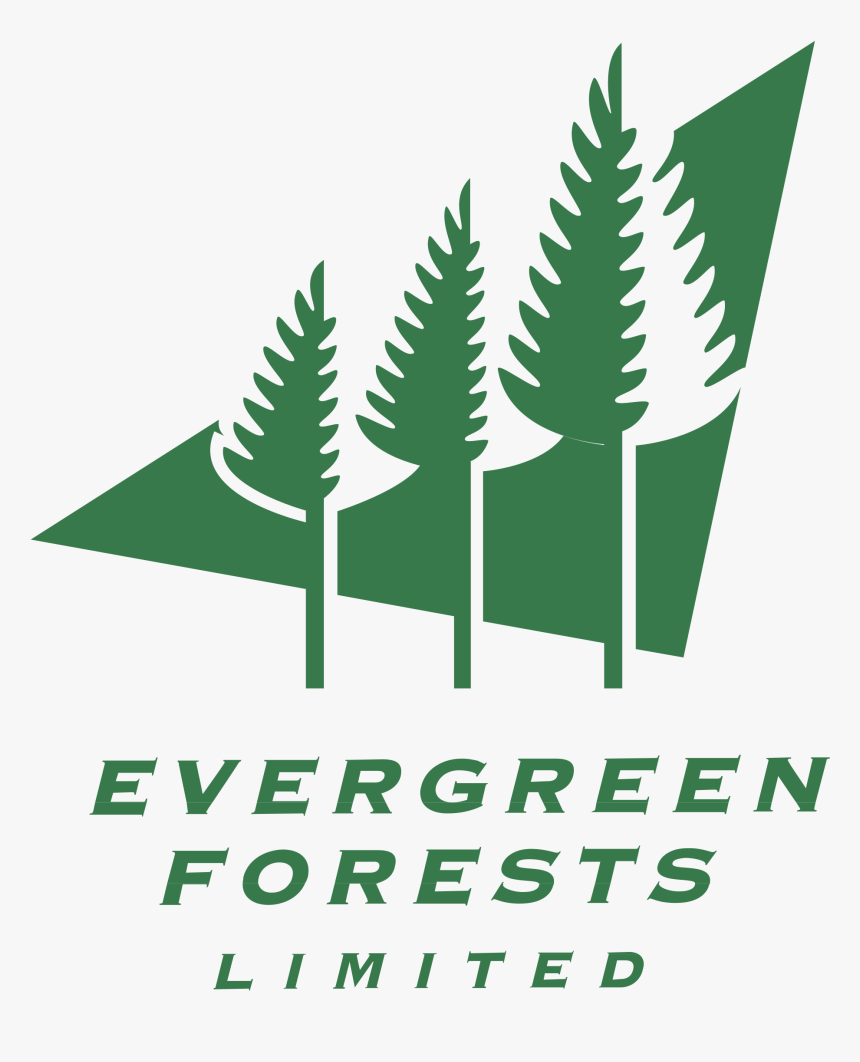 Evergreen Forests Logo Png Transparent - Evergreen Forests Icon, Png Download, Free Download