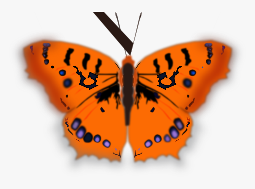 Mariposa Pirata Clip Arts - Kupu Kupu Orange Png, Transparent Png, Free Download