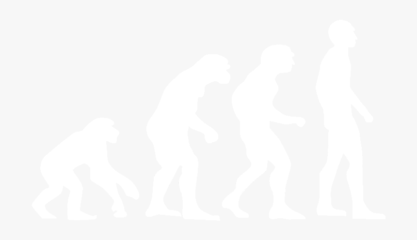 Evolution Transparent Black And White - Human Evolution White Transparent, HD Png Download, Free Download