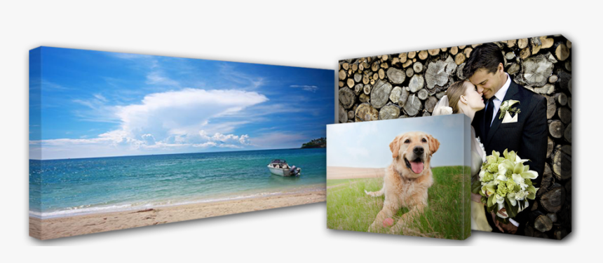 Canvas Photo Printing Singapore, HD Png Download, Free Download