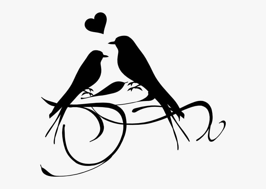 Wedding Dove Clipart Png Transparent Png , Png Download - Love Birds Black And White, Png Download, Free Download