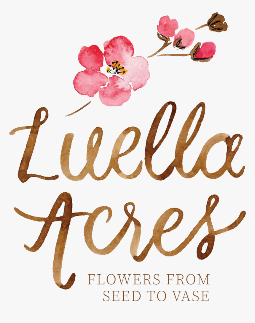 Luella Acres Logo Color 1800px Transparent - Calligraphy, HD Png Download, Free Download